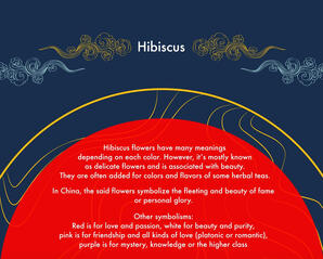Day 4 - Hibiscus - fleeting beauty of personal fame and glory