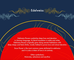Day 6 - Edelweiss -deep love and devotion