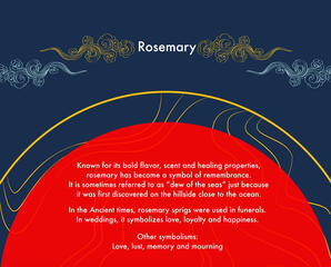 Day 5 - Rosemary - Love, lust, memory and mourning